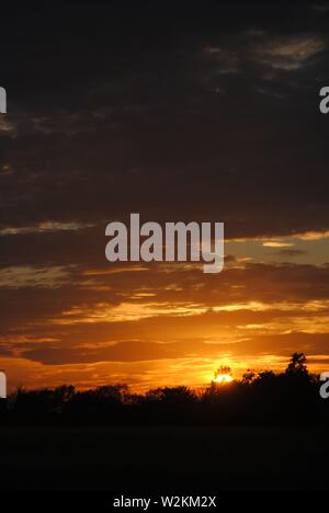 tramonto sequenza oro bagliore con un sacco di nuvole con silhouette di alberi Foto Stock