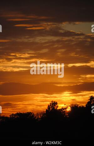 tramonto sequenza oro bagliore con un sacco di nuvole con silhouette di alberi Foto Stock