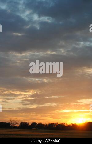 tramonto sequenza oro bagliore con un sacco di nuvole con silhouette di alberi Foto Stock