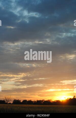 tramonto sequenza oro bagliore con un sacco di nuvole con silhouette di alberi Foto Stock