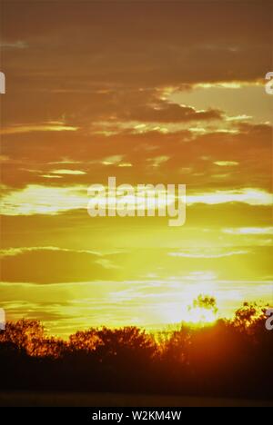 tramonto sequenza oro bagliore con un sacco di nuvole con silhouette di alberi Foto Stock