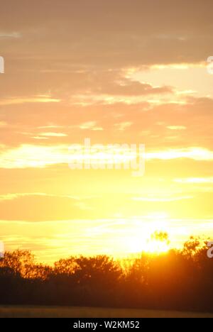 tramonto sequenza oro bagliore con un sacco di nuvole con silhouette di alberi Foto Stock