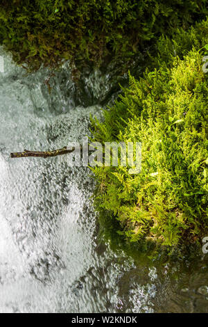 Primo piano delle pietre ricoperta con moss formando le barriere naturali dell'acqua correre verso il basso queste cascate presso il Parco Nazionale dei Laghi di Plitvice Foto Stock
