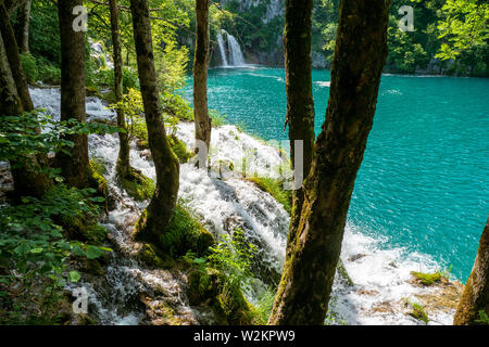 Impetuose cascate di acqua verso il basso le naturali barriere in cristallo chiaro e di colore azzurro lago Milanovac presso il Parco Nazionale dei Laghi di Plitvice, Croazia Foto Stock