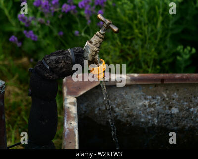 Rubinetto d'acqua per esterni che si raccoglie in un grande serbatoio di immersione vecchio. Primo piano attenzione selettiva per il giardinaggio e l'uso della conservazione ambientale. Foto Stock