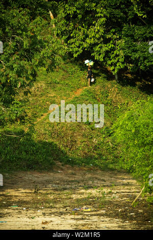 Paesaggio, Terra Preta comunità, Cuieiras River, Amazônia, Manaus, Amazonas, Brasile Foto Stock