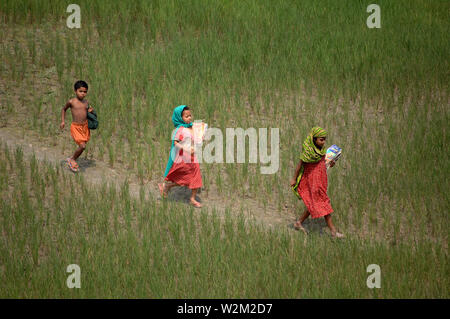 I bambini di ritorno da scuola. Kalihati, Tangail, Bangladesh. Il 4 marzo 2008. Foto Stock