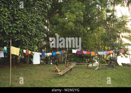 Linea di abbigliamento, Foresta, Terra Preta comunità, Cuieiras River, Amazônia, Manaus, Amazonas, Brasile Foto Stock