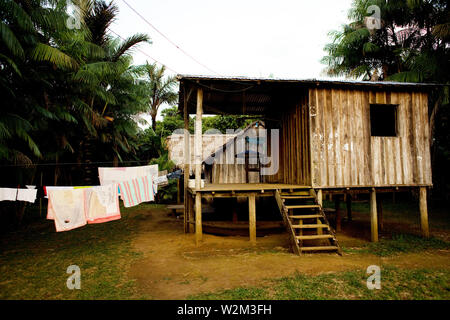 Case, vestiti linea, Terra Preta comunità, Cuieiras River, Amazônia, Manaus, Amazonas, Brasile Foto Stock