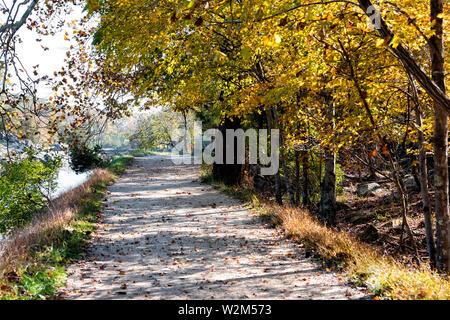 Percorso vuoto road durante l autunno del fiume Potomac a Great Falls, Maryland con foglie colorate e foglie cadute sul percorso da canal Foto Stock