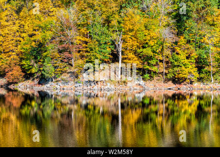 Great Falls alberi riflessione nel canal lago fiume durante l'autunno in Maryland colorato giallo arancione foglie fogliame dal famoso Caprone Trail Foto Stock