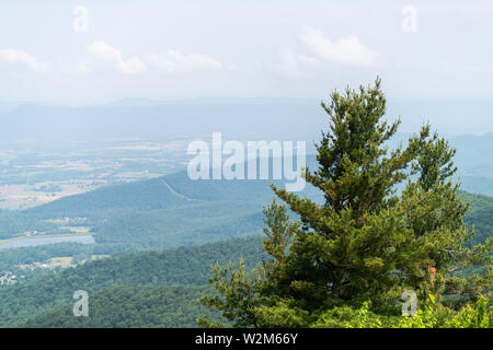 Vista del lago a Shenandoah Blue Ridge appalachian montagne sulla skyline drive si affacciano e primo piano della struttura ad albero Foto Stock