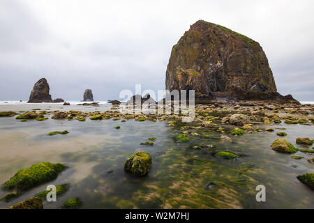 Cannon Beach è una città nella Contea di Clatsop, Oregon, Stati Uniti, drammatiche previsioni prima di una tempesta di pioggia, turismo USA, sabbia, paesaggio, paesaggio Foto Stock