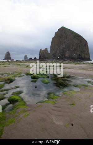 Cannon Beach è una città nella Contea di Clatsop, Oregon, Stati Uniti, drammatiche previsioni prima di una tempesta di pioggia, turismo USA, sabbia, paesaggio, paesaggio Foto Stock