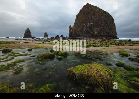 Cannon Beach è una città nella Contea di Clatsop, Oregon, Stati Uniti, drammatiche previsioni prima di una tempesta di pioggia, turismo USA, sabbia, paesaggio, paesaggio Foto Stock