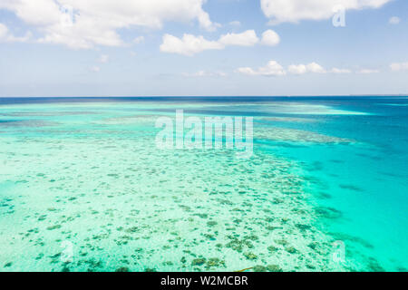 Le barriere coralline e gli atolli nel mare tropicale, vista dall'alto. Acqua del mare turchese e splendidi fondali bassi. Natura delle Filippine. Foto Stock