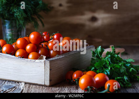 Cassa di appena raccolti organici di rossi pomodori ciliegini, il prezzemolo e l'aneto su tavola in legno rustico, impianti based food, vicino il fuoco selettivo Foto Stock