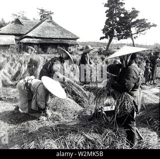 [ 1900 Giappone - Gli agricoltori la trebbiatura del riso ] - gli agricoltori sugegasa indossare cappelli conici sono la trebbiatura del riso. Nella parte posteriore le case con i tetti di paglia può essere visto. Xx secolo vintage vetrino di vetro. Foto Stock