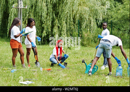 Gruppo di felice volontari africani piantare nel parco. Africa volontariato, carità, persone e concetto di ecologia. Foto Stock