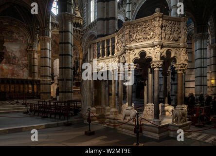 Siena, il Duomo di Santa Maria, Innenraum, Kanzel 1266-1268 von Nicola Pisano Foto Stock