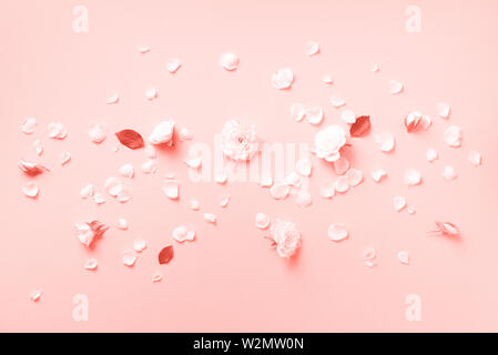 Composizione di fiori. Rose bianche e petali di fiori sul corallo trendy colore di sfondo. Appartamento laico, vista dall'alto. Layout creativi. Primavera o estate banner con Foto Stock