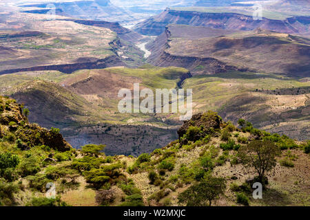 Bellissimo paesaggio di montagna con canyon ed il letto asciutto del fiume, regione somala. Etiopia deserto paesaggio, Africa. Foto Stock