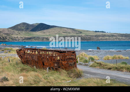 Relitto della Paiaka, affondato nel 1906, Testa Pencarrow, vicino a Eastbourne, Wellington, Isola del nord, Nuova Zelanda Foto Stock