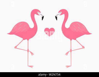 Coppia di fenicotteri rosa nell'amore. Illustrazione Vettoriale Illustrazione Vettoriale