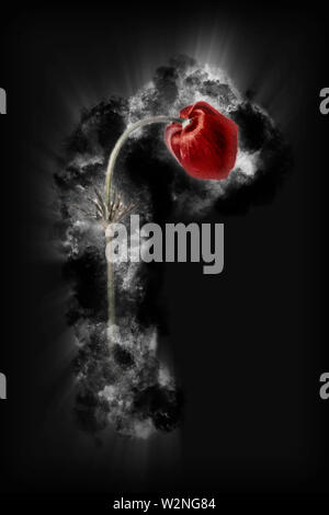 Migliorate digitalmente immagine di una mano disegnato e dipinto studio botanico della corona (anemone coronaria Anemone) millefiori israeliano Foto Stock