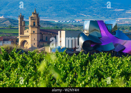 Elciego village, la regione del vino della Rioja Alavesa, Alava, Paesi Baschi in Spagna, Europa Foto Stock