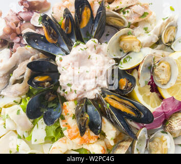 Frutti di mare gusci di cozze come antipasto freddo Foto Stock