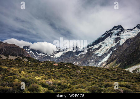 Camminando lungo la grande avvolgimento Hooker Valley via a Mount Cook, Nuova Zelanda. Foto Stock