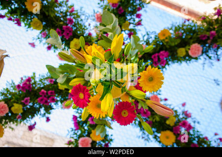 Autunno Flower Show in Arad Romania Foto Stock