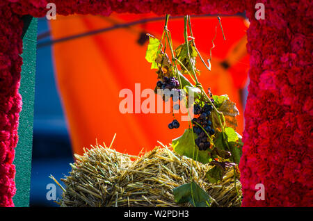 Autunno Flower Show in Arad Romania Foto Stock