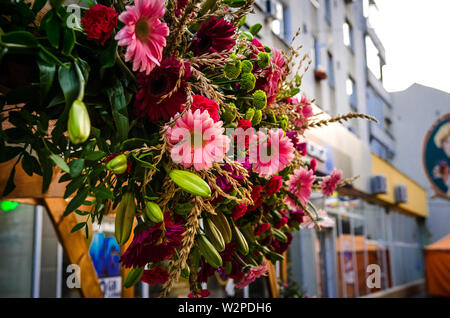 Autunno Flower Show in Arad Romania Foto Stock