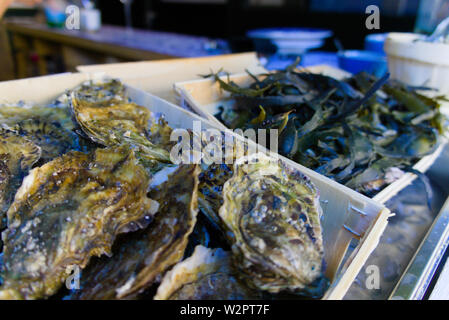 Cozze olandese venduto per strada fair Foto Stock