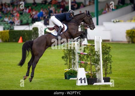 Harrogate. Yorkshire. Il 10 luglio 2019. Vincitore. James Wilson riding immaginare De Muze. GBR. Primo round. Scala Internazionale. Showjumping. Grande spettacolo dello Yorkshire. Grande Yorkshire Showground. Regno Unito. Credit Elli Birch/SIP Agenzia fotografica/Alamy live news Foto Stock