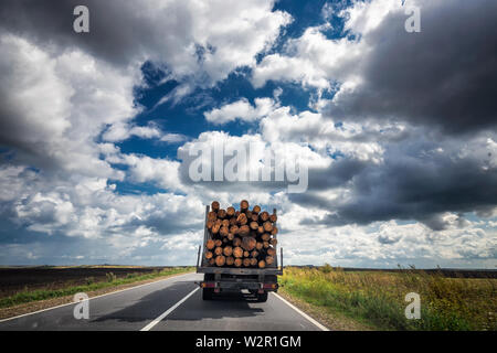 Carrello trasporta legname - tutti non trattate in legno di pino con cielo nuvoloso, Ucraina. Foto Stock