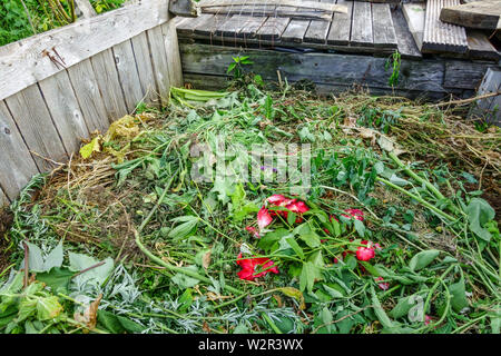Giardino compost bin, cumulo di compostaggio dei rifiuti biologici dal giardino e per la casa Foto Stock
