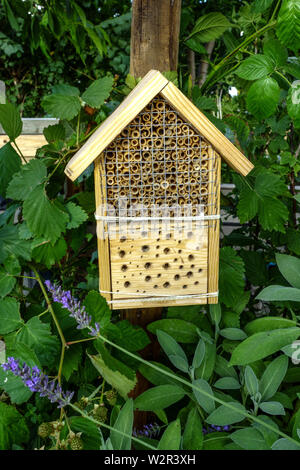 Piccolo bug hotel per insetti da giardino Foto Stock