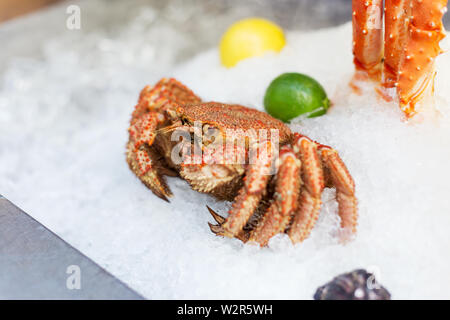 Il granchio intero su ghiaccio con calce sulla street food festival Foto Stock