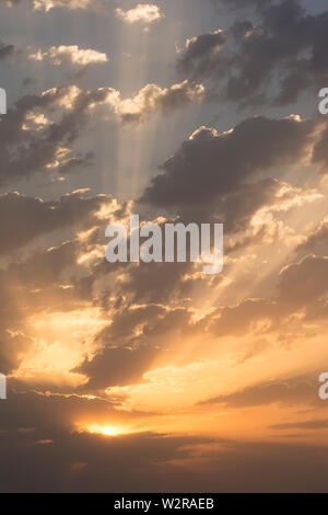Sunrise con drammatica nuvole scure e raggi di luce attraverso le nuvole in cielo, colpo verticale Foto Stock