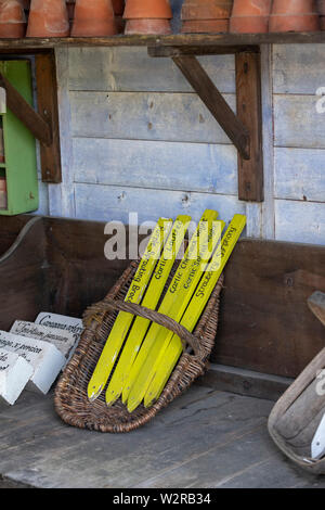 I marcatori di vegetali in vimini trug dentro il Victorian Potting Shed a RHS Harlow Carr, Harrogate, Inghilterra Foto Stock