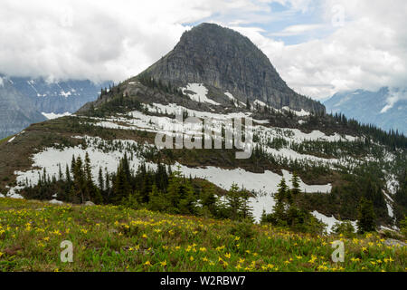 Pagliaio Butte come visto dalla sella tra Mt. Gould con gigli del ghiacciaio in primo piano, il Parco Nazionale di Glacier, Montana, Northern Rockies, STATI UNITI D'AMERICA. Foto Stock