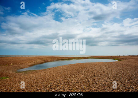 Laguna sulla spiaggia ghiaiosa Foto Stock