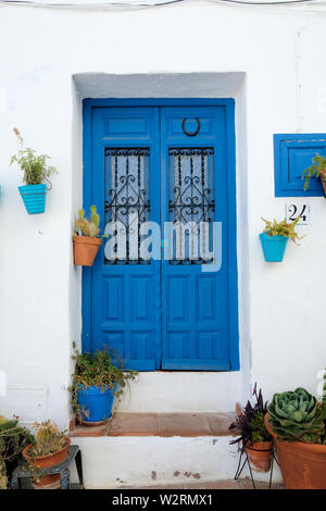 Tipico blu porte dipinte con una decorazione di piante in vaso su un bianco lavato parete in Frigiliana, provincia di Malaga, Spagna. Foto Stock