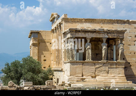 Atene, Grecia, 9 luglio 2019 - La sacra "l'albero della vita", un antico albero di olivo sorge accanto al portico ad ovest e le Cariatidi della storica Erecthe Foto Stock