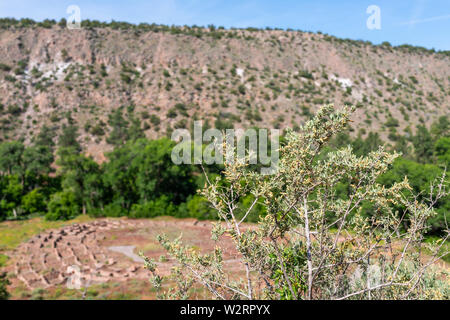 Old Pueblo rovine a Main loop trail con albero in Bandelier National Monument in New Mexico durante l estate a Los Alamos Foto Stock