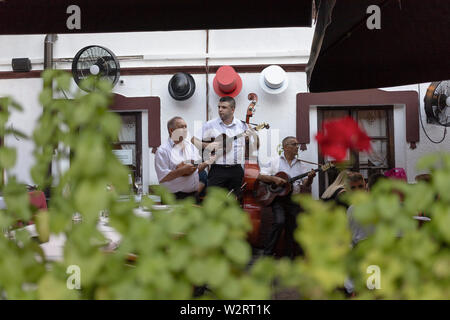 A Belgrado, in Serbia il 5 Luglio 2019: musicisti eseguendo in un ristorante chiamato tre cappelli in touristic Skadarska Street noto anche come Skadarlija Foto Stock