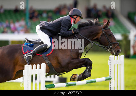 Harrogate. Yorkshire. Il 10 luglio 2019. Vincitore. Mark Edwards cavalcare Tinkers racconto. GBR. Rudding Park campionato. Showjumping. Grande spettacolo dello Yorkshire. Grande Yorkshire Showground. Harrogate. Yorkshire. Regno Unito. 10/07/2019. Credit Elli Birch/SIP Agenzia fotografica/Alamy live news Foto Stock